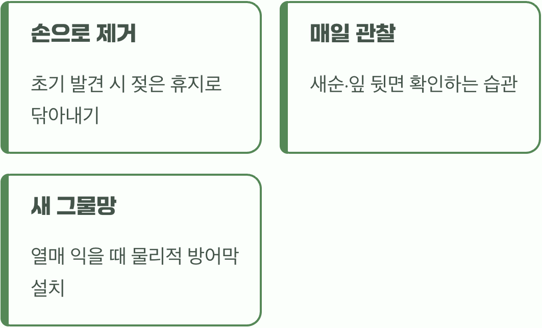 가장 확실한 방법, 물리적 방어와 조기 발견