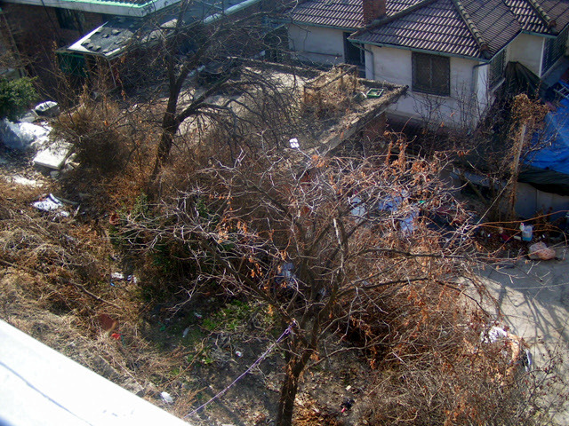낙산공원