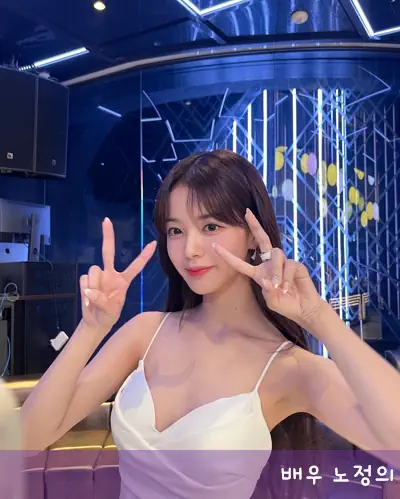 노정의 겨드랑이 필모그래피 작품활동