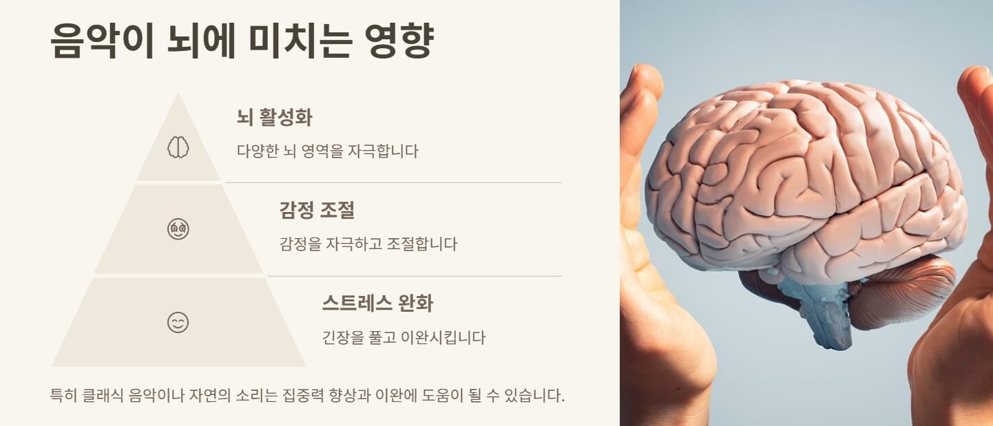뇌건강에 좋은 음식