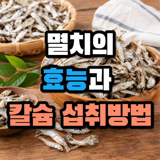 멸치의 효능