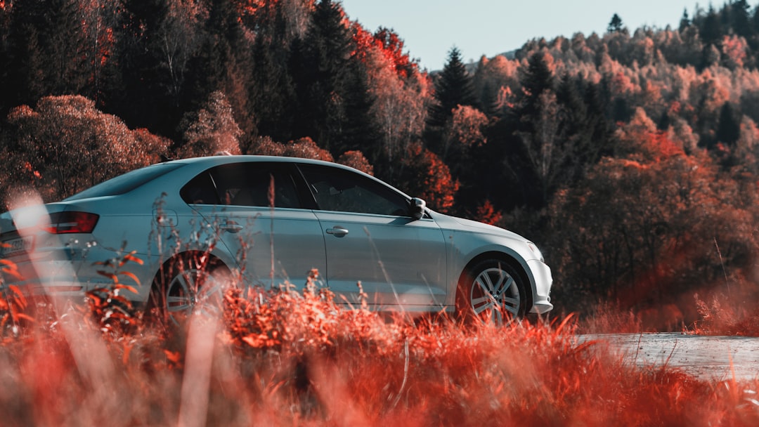 Jetta