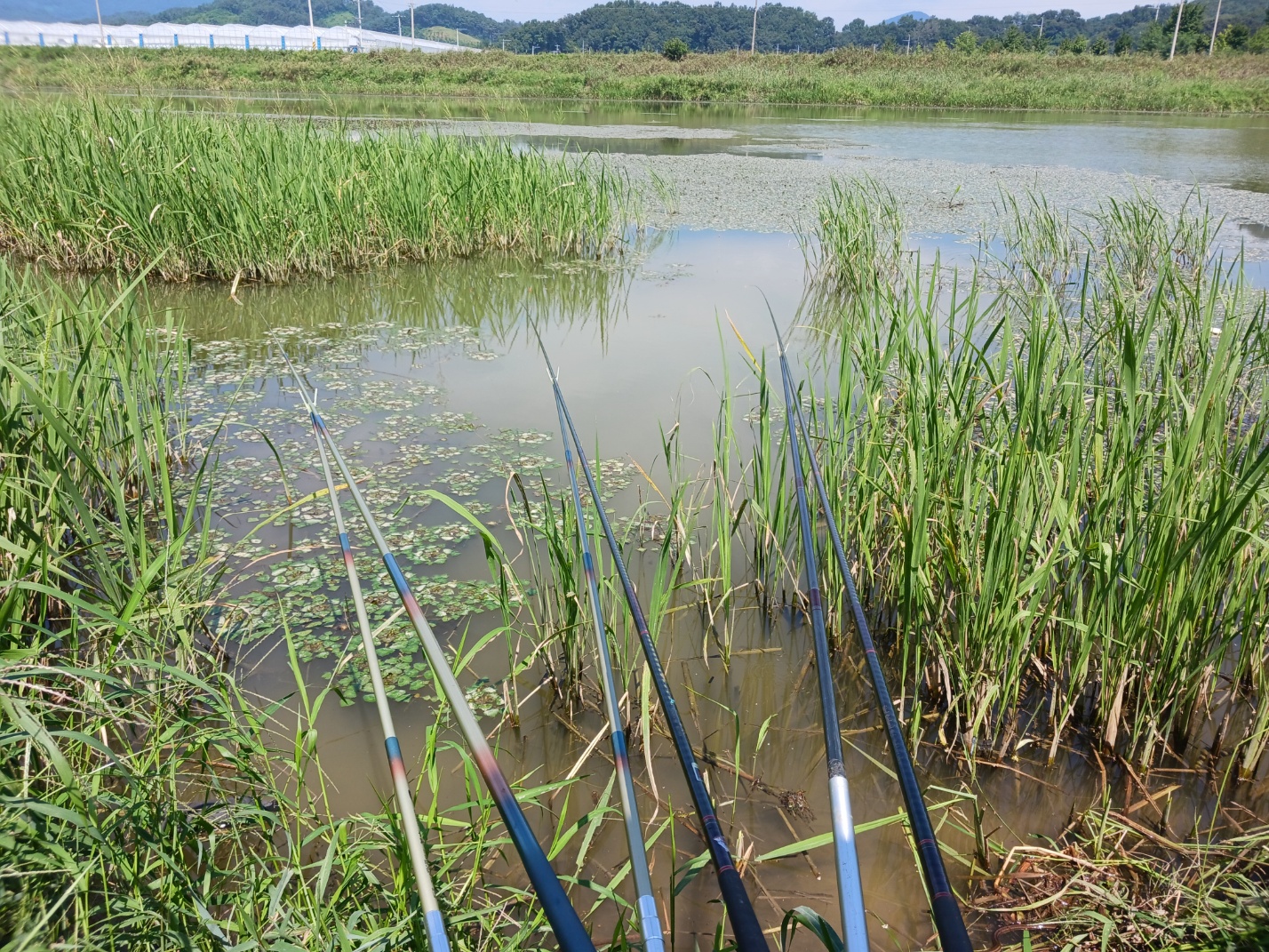 주덕보