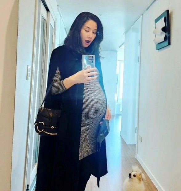 공현주 쌍둥이 출산 소식