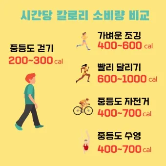 걷기 칼로리 계산기 걸음수 소비 칼로리_15