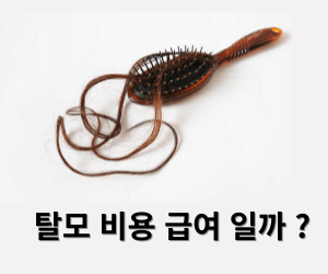 탈모비용