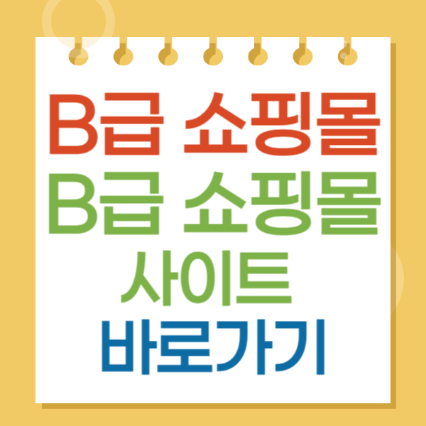 B급 쇼핑몰 사이트