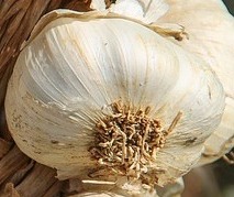 염증에 좋은 음식