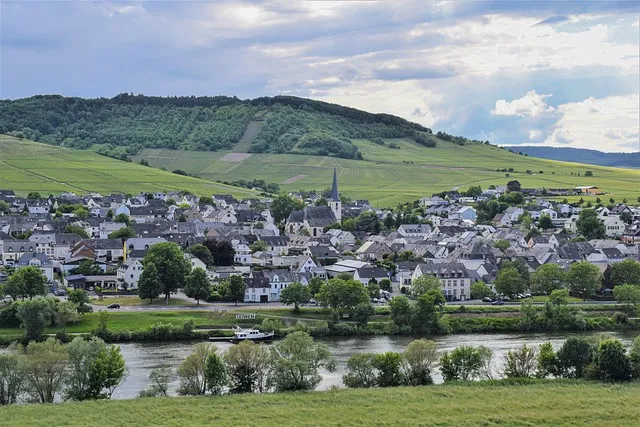 오이 재배 유인 방법 곁순 정리 수분 관리_5