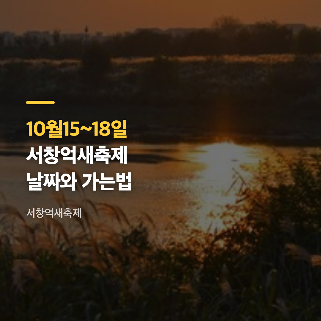 서창억새축제가 열리는 영산강변 억새밭 풍경