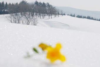 겨울 국내여행지 추천 베스트 5 평창2