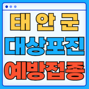 충남 태안군 대상포진 백신 무료 예방접종 비용지원 신청방법 대상자 준비서류