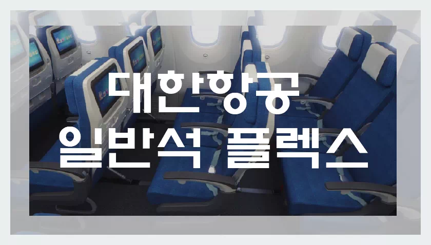 대한항공 일반석 플렉스