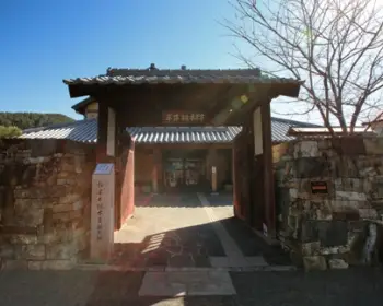 대마도 배편 예약7