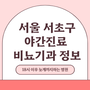 서울 서초구 야간진료 비뇨기과 병원 (18시 이후 늦게까지하는 병원)