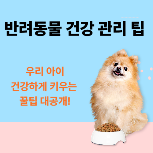 반려동물 건강 관리 팁