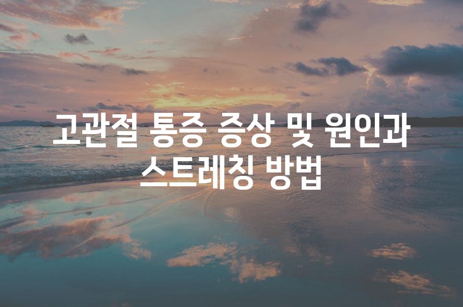 샘플 (81)