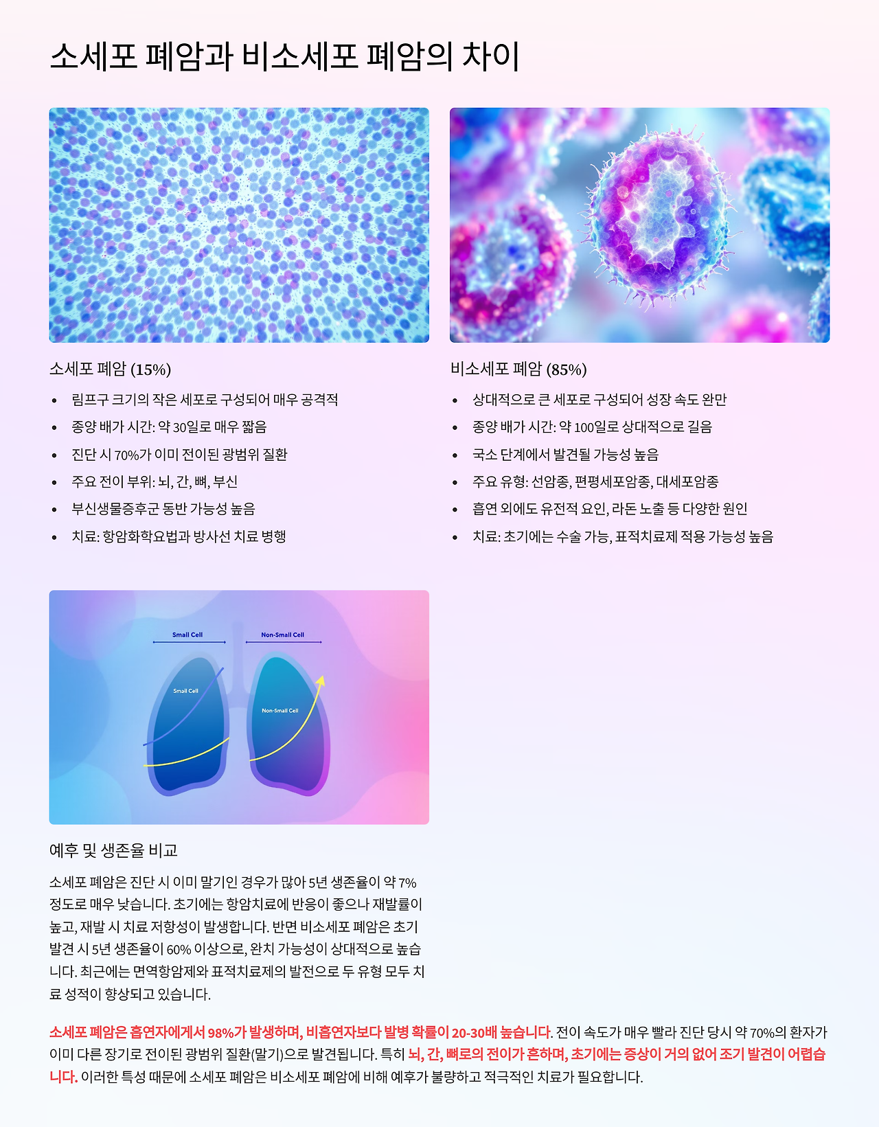 소세포 폐암과 비소세포 폐암차이