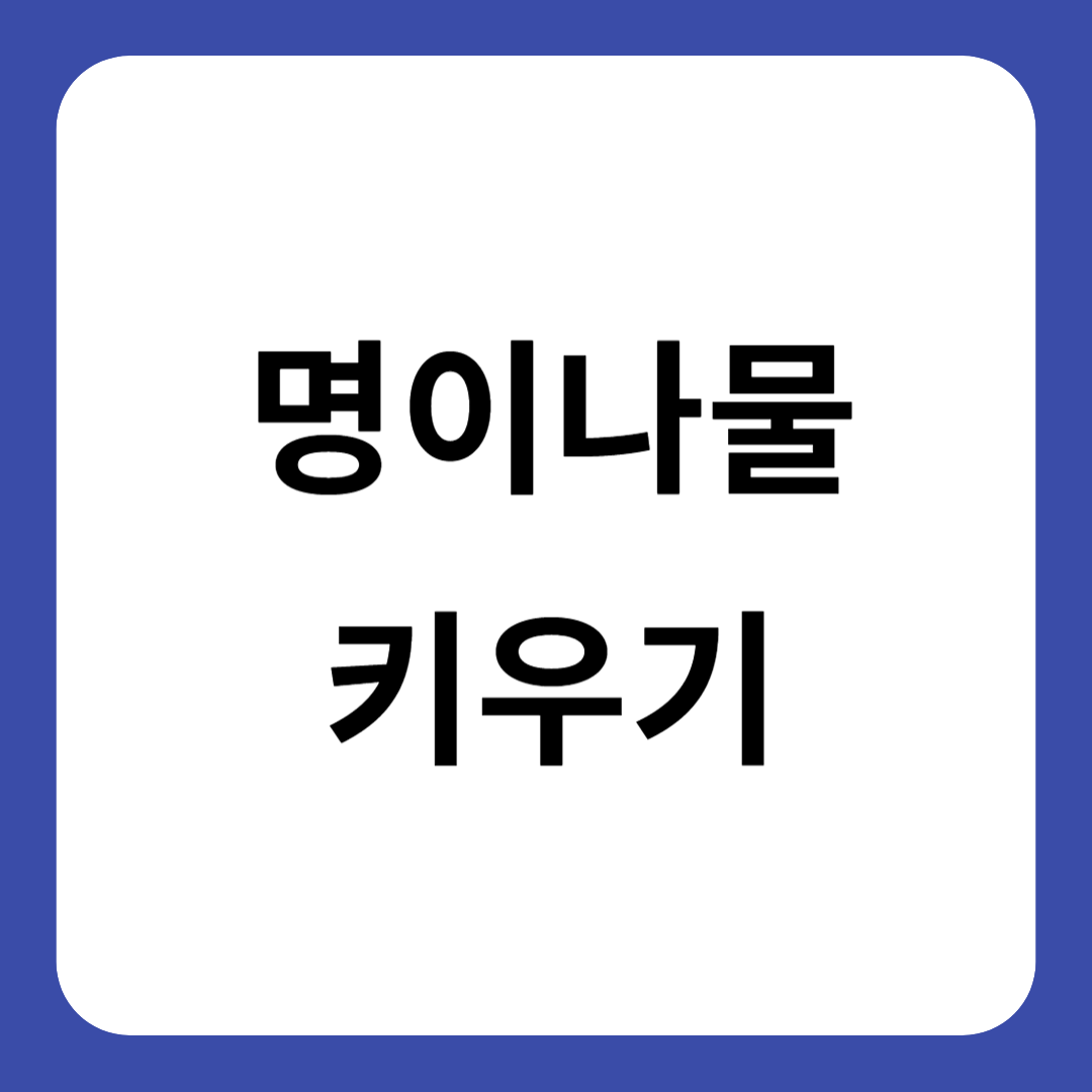 명이나물 키우기