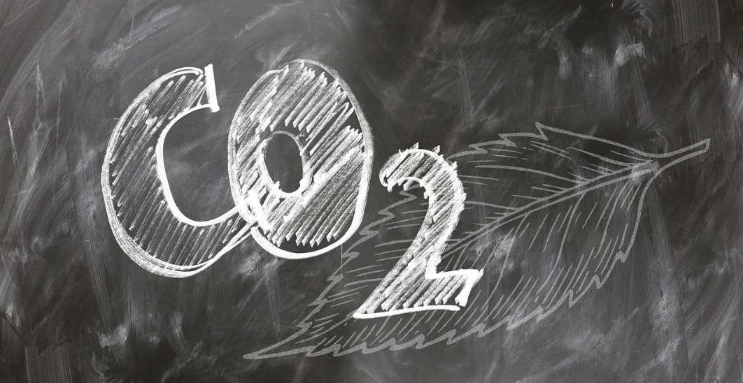 탄소 중립과 ESG 경영이 기업 전략에 미치는 영향