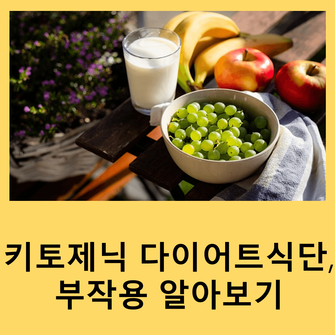 키토제닉