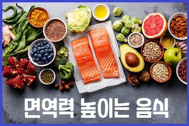 면역력 높이는 식품 음식