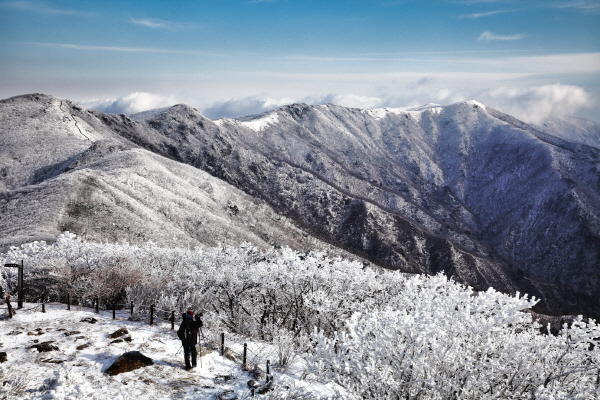 경북 영주 소백산