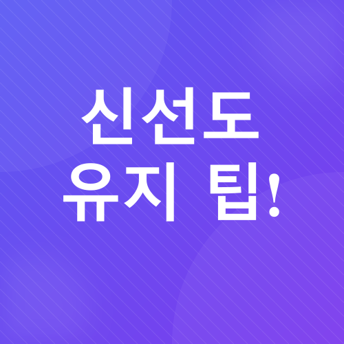 양파 재배_5