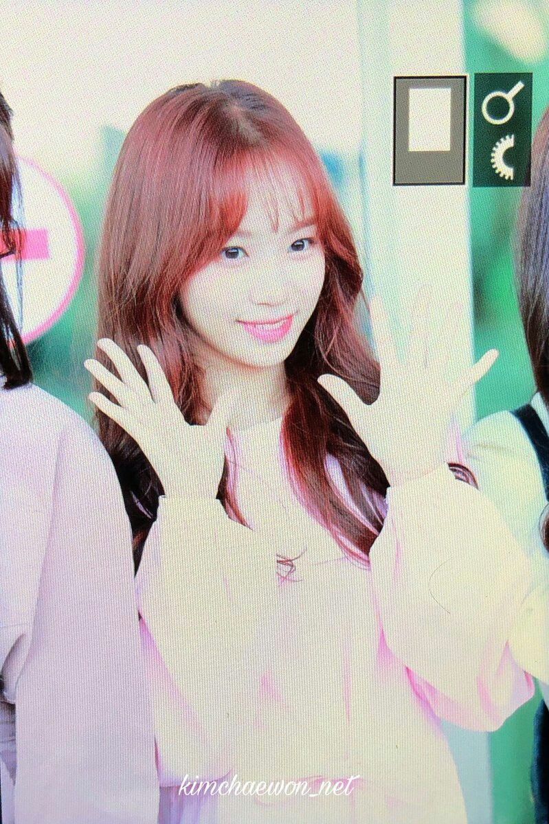 김채원 사진 모음 김채원 사진 모음