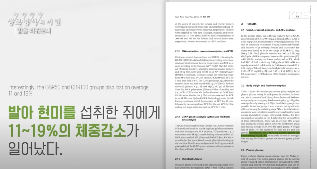 발아 현미 효능