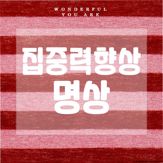 집중력 향상 명상 완벽 정리: 공부와 업무 효율 UP