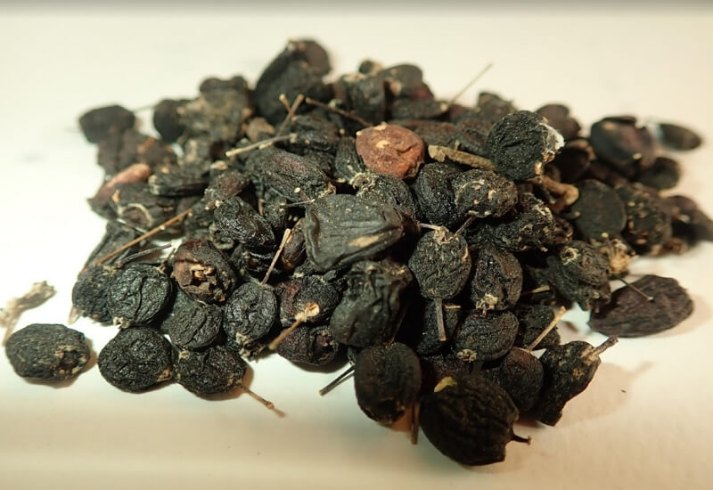 잘-건조된-오가피열매