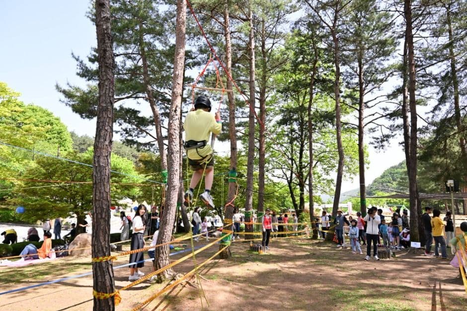 [4월 축제]양평 용문산 산나물축제❘기간, 일정, 프로그램, 사전 예약 방법