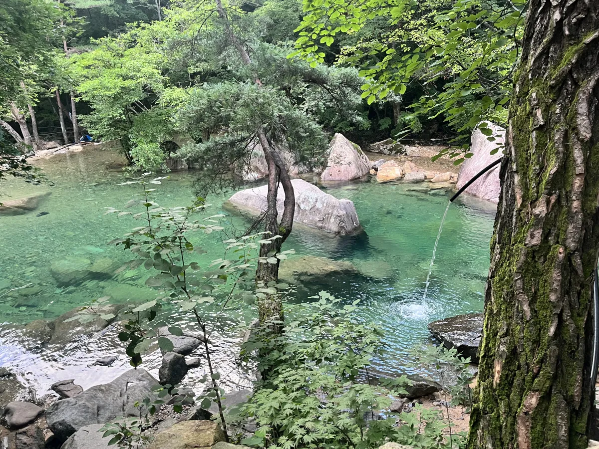 충남-계곡-나무사이의-바위와-깨끗하게-흐르는-물
