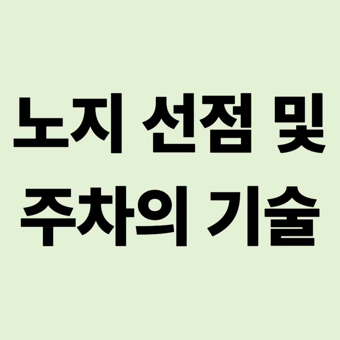 "남들 앞범퍼만 보다 올 순 없다" 단풍철 노지 선점 및 주차의 기술