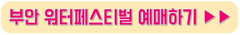 부안 워터페스티벌