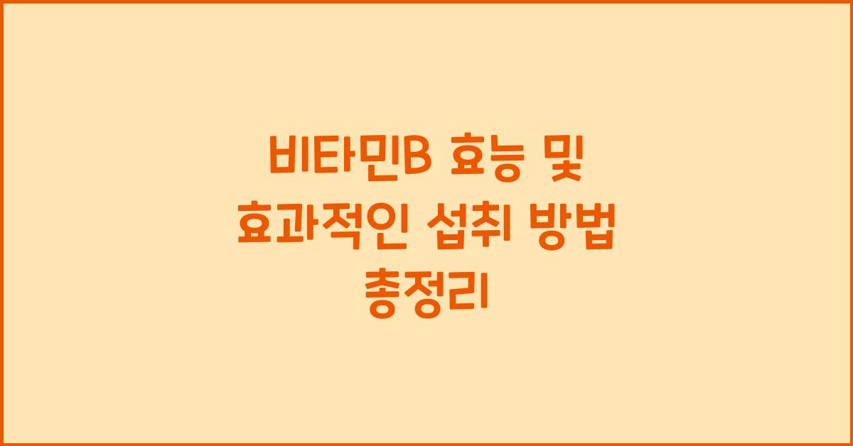 비타민b 효능
