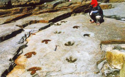 여수 낭도리 공룡발자국 흔적