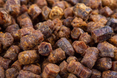 프로폴리스 효능, 부작용, 복용법 총정리 (2024ver)