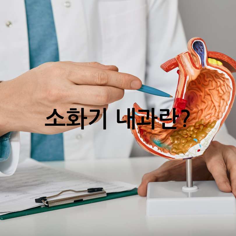 소화기내과 진료과목