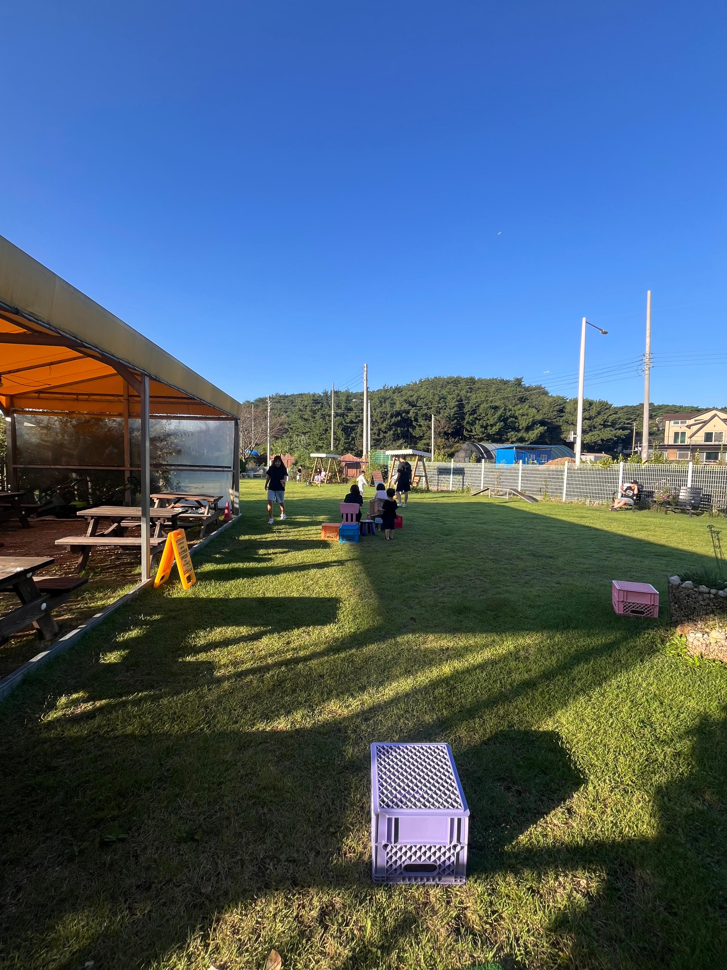 잔디밭 전경 사진