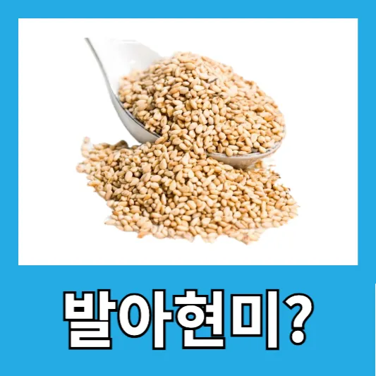 "발아현미와 현미의 차이는?"