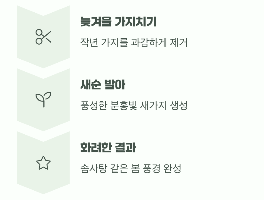 '가지치기'로 완성되는 아름다움