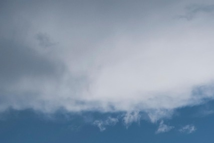 국민비서 소비쿠폰