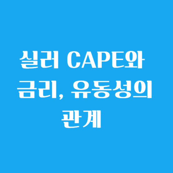 실러 CAPE와 금리, 유동성의 관계