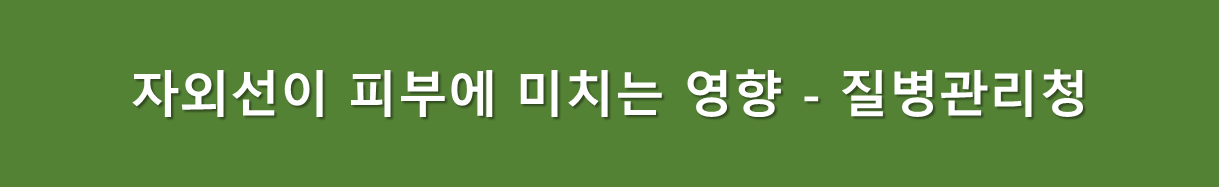 자외선이 피부에 미치는 영향