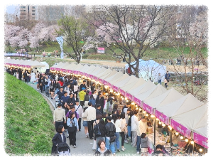 양재 아트 살롱