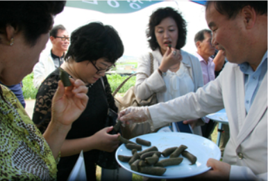 2025 품앗이공연예술축제 간단 가이드 &amp;#124; 농촌에서 만나는 가족 공연축제