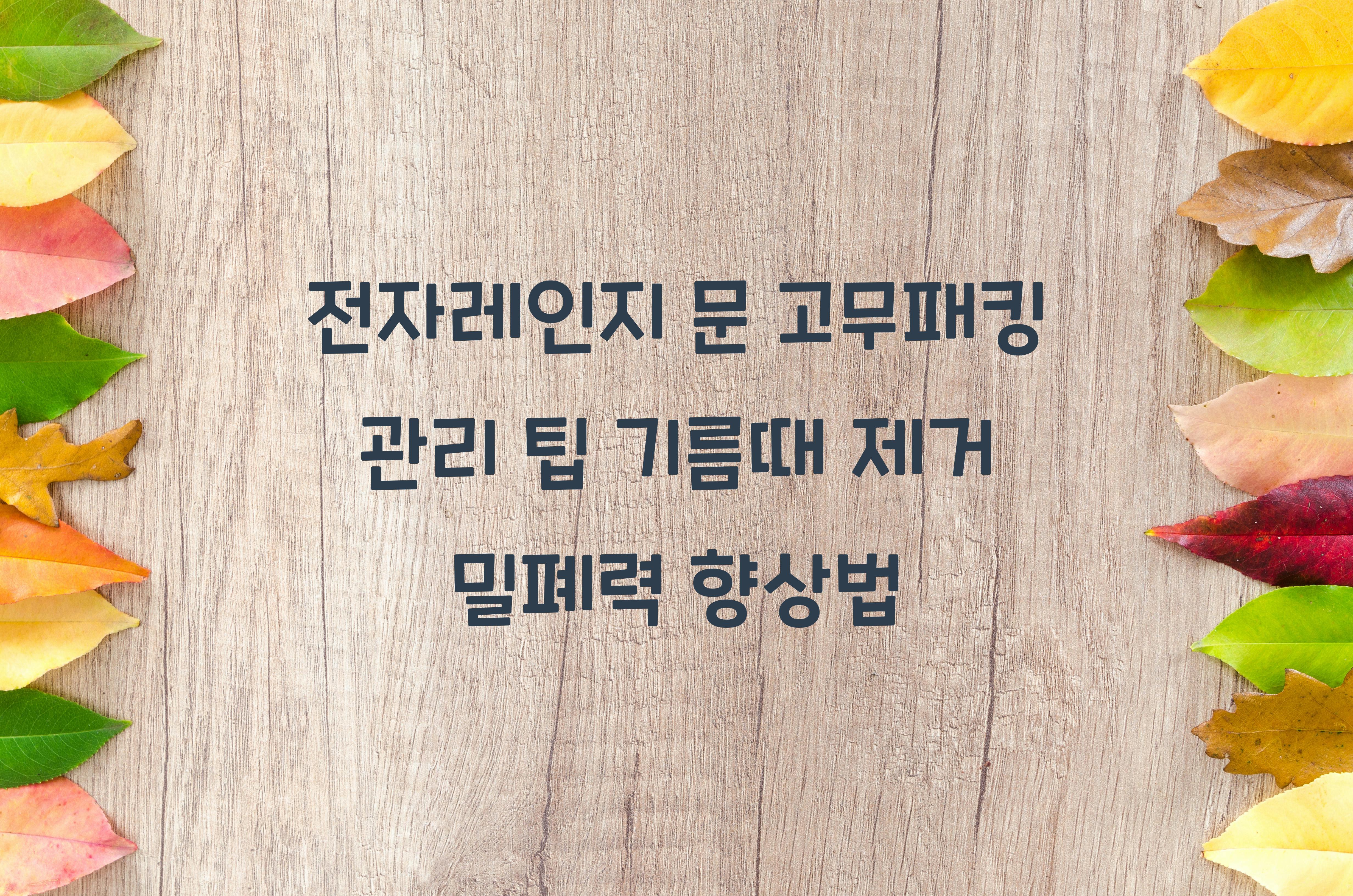 전자레인지 문 고무패킹 관리 팁