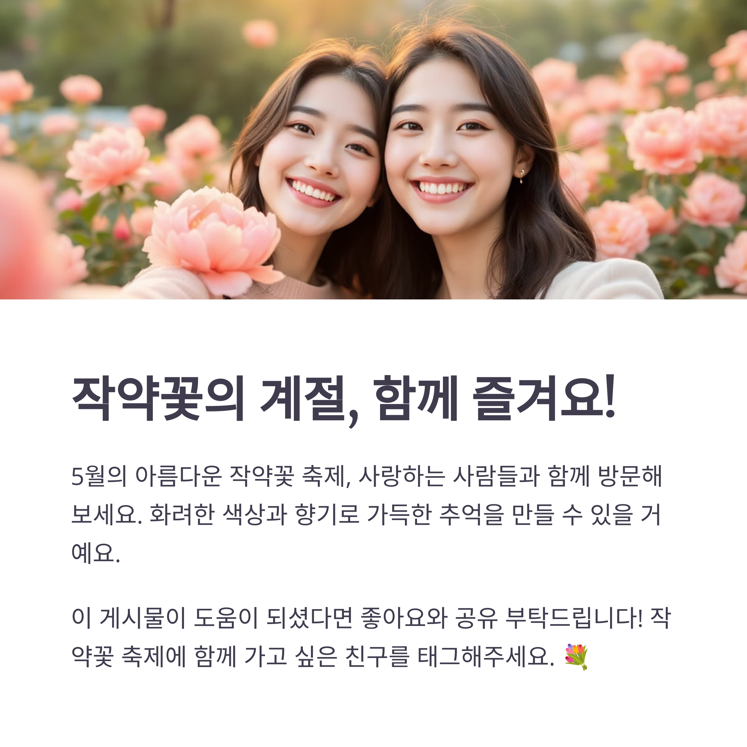 2025년 5월, 전국 작약꽃 축제 총정리